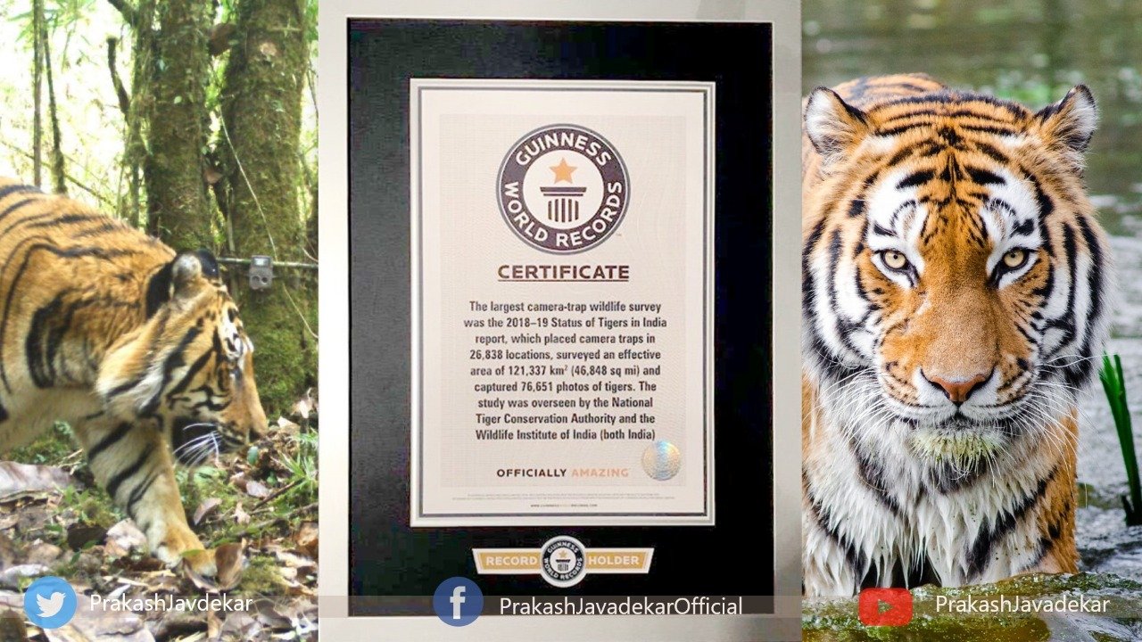 Prakash Javadekar Shared Tiger Census 2018, 2020